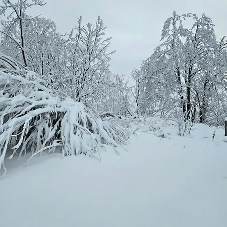 Michaels Erbhai דירה *