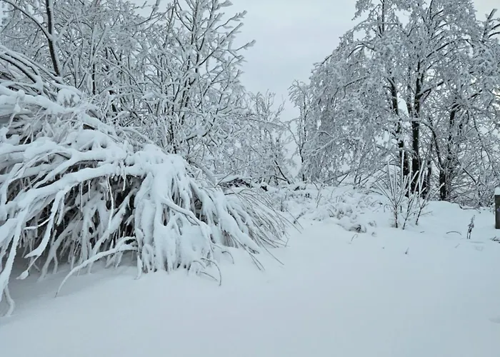 Michaels Erbhai Lägenhet *